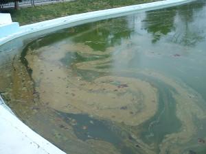 Βούρκος η Λίμνη