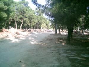 Τα μπάζα πηγαιναν στο Άλσος