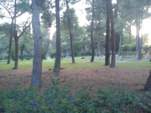 Εγκατάλειψη του πάρκου