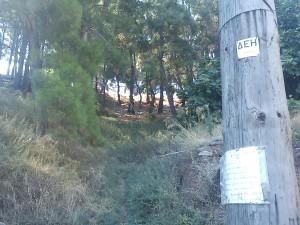 Σκουπίδια στο δασάκι