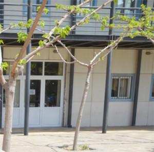 Προετοιμασία αψίδων σκιάς