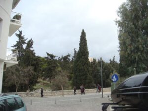 DSC03981 - Αντίγραφο